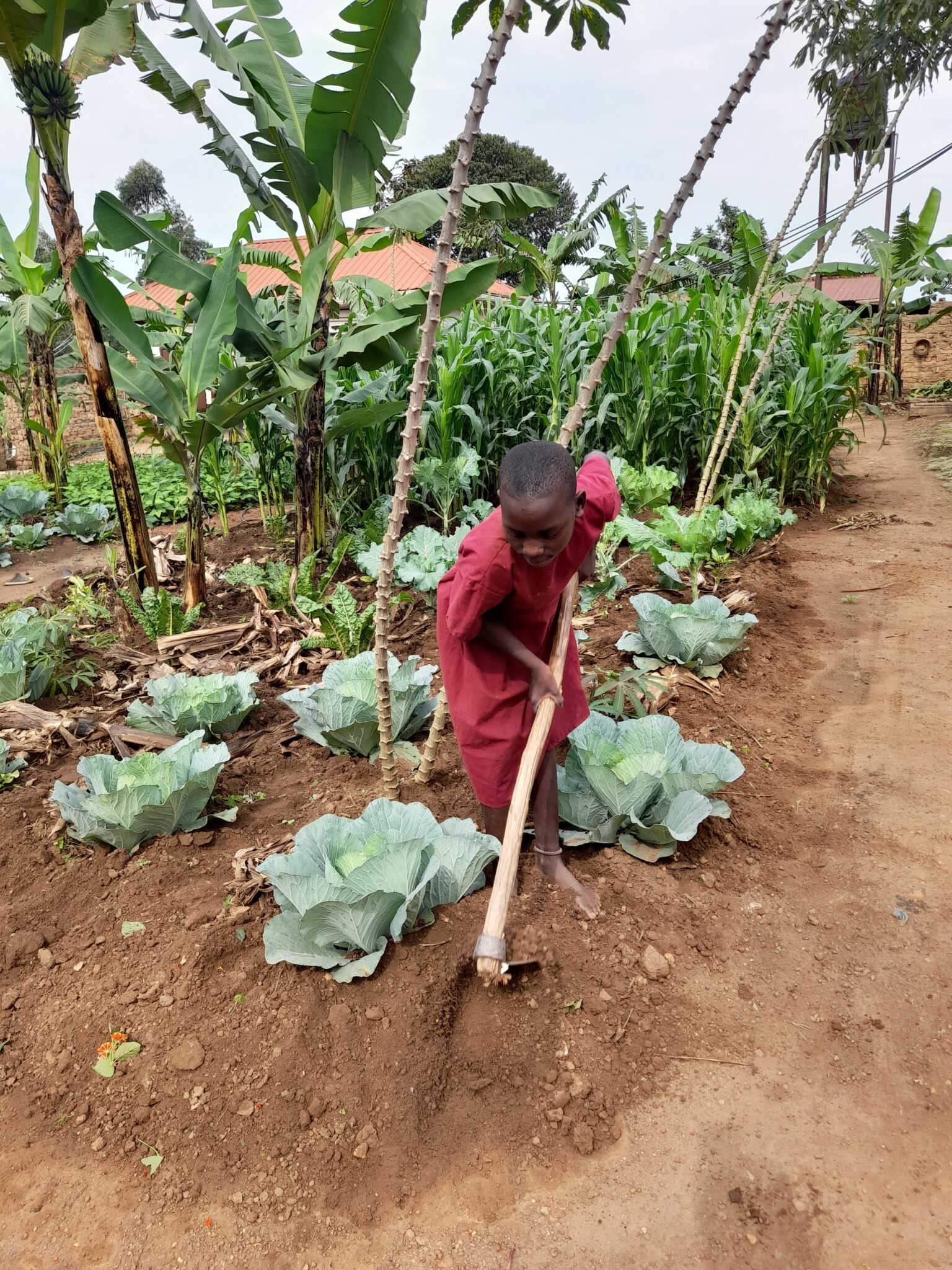 Køkkenhaven Agape Child Care